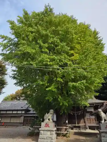 印内八坂神社(千葉県)