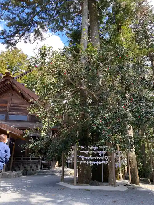 椿大神社の庭園