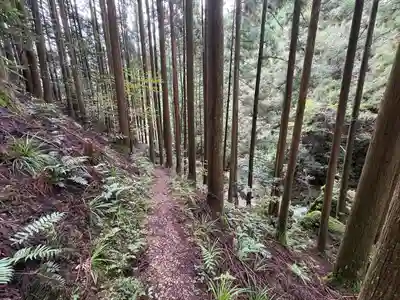 聖神社(高知県)