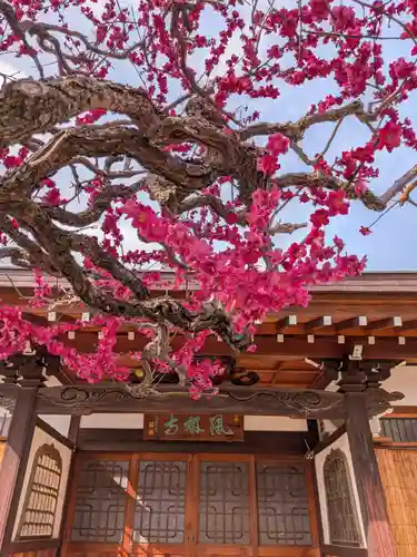 鳳林寺(東京都)