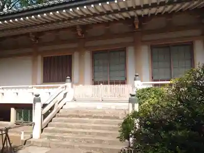 東長谷寺　薬王院の本殿・本堂