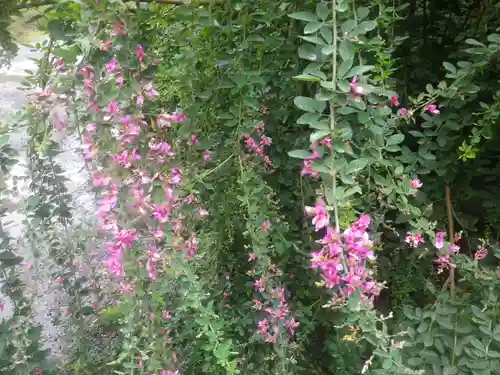 浄光明寺の自然