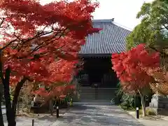 普元寺(愛知県)