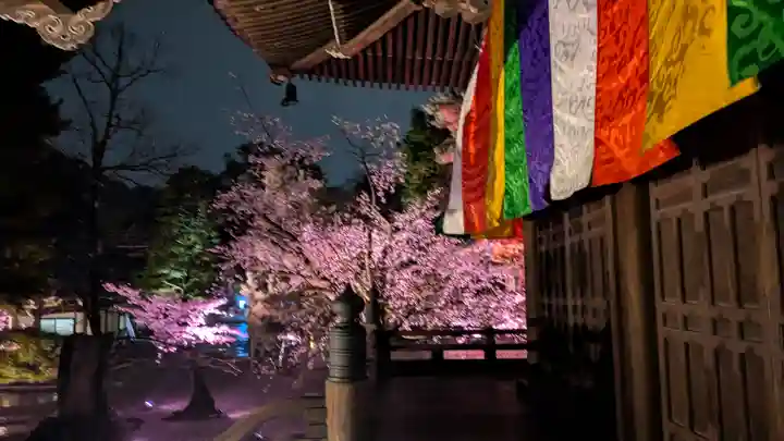 知恩院(京都府)