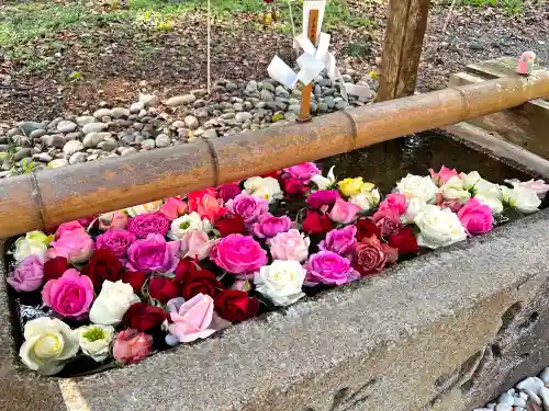 曽許乃御立神社の手水