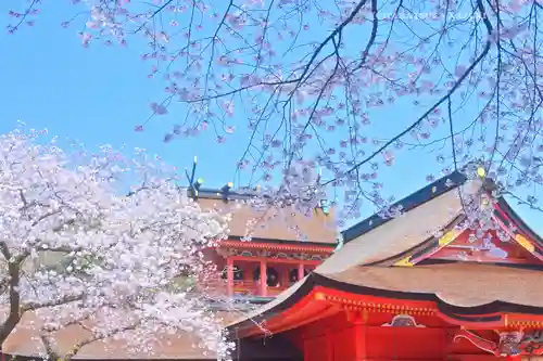 富士山本宮浅間大社(静岡県)