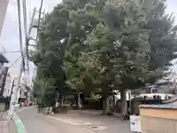 諏方神社(東京都)