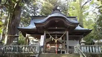 近津神社の本殿・本堂