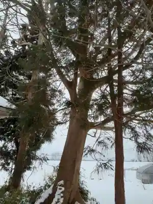 八雲神社(岩手県)
