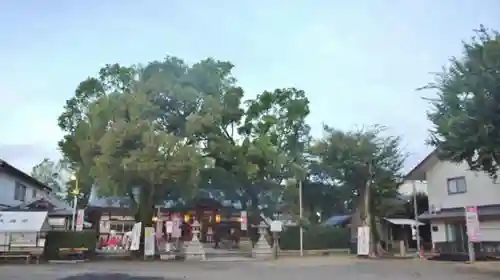 吉祥院天満宮のその他建物