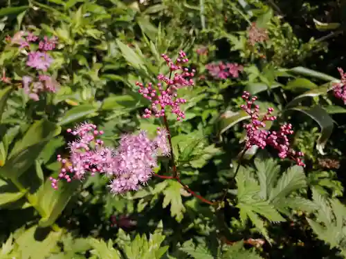 飯森神社奥社(長野県)