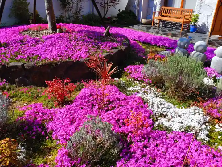 寿量山 速成寺の庭園