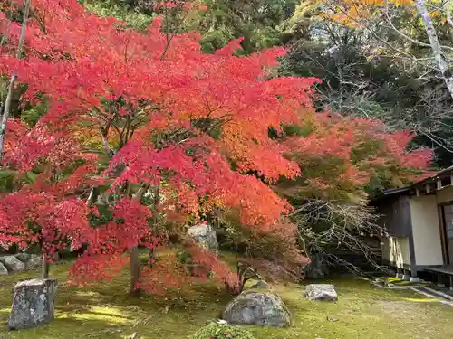 伊勢の国 四天王寺(三重県)