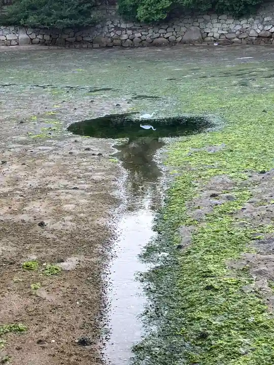 厳島神社(広島県)