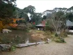 浄瑠璃寺(京都府)