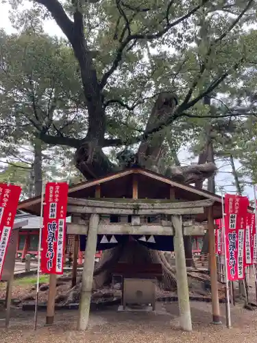 住吉大社(大阪府)