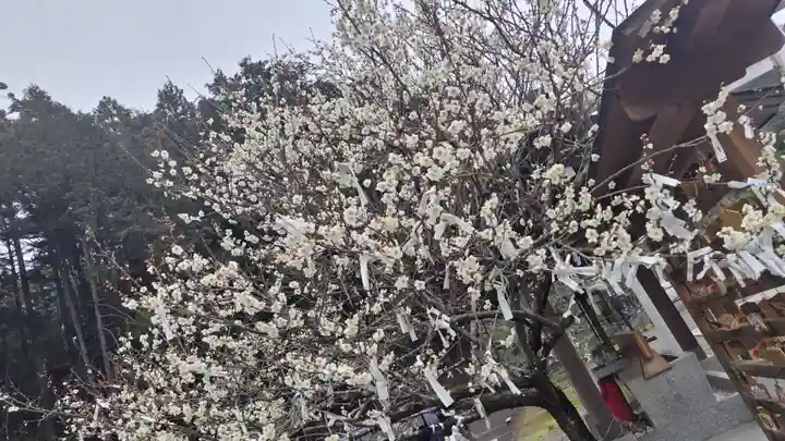 出雲大社京都分院(京都府)