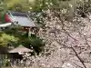 善光寺の{uncategorized: "未分類", other: "その他", undefined: "問題あり", building: "その他建物", grave: "お墓", sacred_gate: "鳥居", guardian: "狛犬", statue: "像", buddha: "仏像", history: "歴史", nature: "自然", garden: "庭園", animal: "動物", pagoda: "塔", temizu: "手水舎", mountain_gate: "山門・神門", sanctuary: "本殿・本堂", subordinate: "末社・摂社", art: "芸術", scenery: "景色", jizo: "地蔵", ema: "絵馬", goshuin: "御朱印", omikuji: "おみくじ", items: "授与品その他", amulet: "お守り", goshuincho: "御朱印帳", eats: "食事", festival: "お祭り", votive_dance: "神楽", shichigosan: "七五三参", wedding: "結婚式", experience: "体験その他", initially: "初詣", around: "周辺", anti_infection: "感染症対策"}