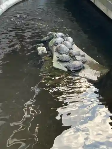 成田山川越別院(埼玉県)