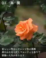 宝光寺(北海道)