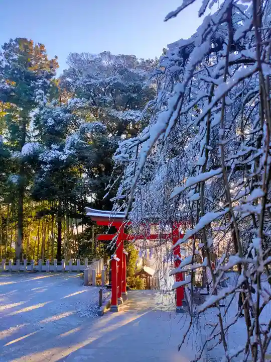 小川諏訪神社(福島県)