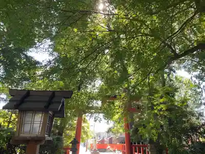大田神社（賀茂別雷神社境外摂社）(京都府)