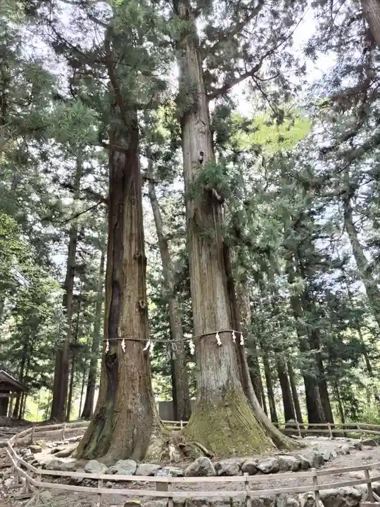 河口浅間神社(山梨県)
