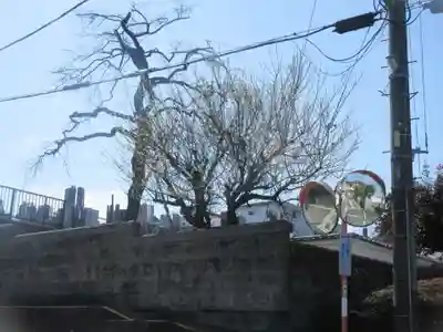 妙典寺(埼玉県)