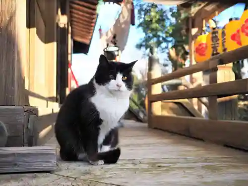 今市報徳二宮神社(栃木県)