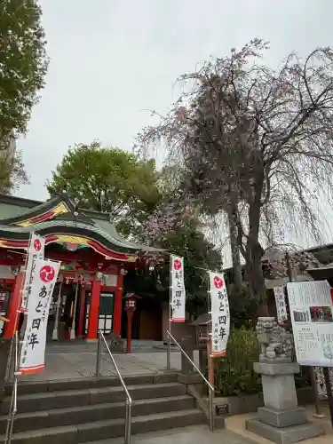 川越八幡宮の{uncategorized: "未分類", other: "その他", undefined: "問題あり", building: "その他建物", grave: "お墓", sacred_gate: "鳥居", guardian: "狛犬", statue: "像", buddha: "仏像", history: "歴史", nature: "自然", garden: "庭園", animal: "動物", pagoda: "塔", temizu: "手水舎", mountain_gate: "山門・神門", sanctuary: "本殿・本堂", subordinate: "末社・摂社", art: "芸術", scenery: "景色", jizo: "地蔵", ema: "絵馬", goshuin: "御朱印", omikuji: "おみくじ", items: "授与品その他", amulet: "お守り", goshuincho: "御朱印帳", eats: "食事", festival: "お祭り", votive_dance: "神楽", shichigosan: "七五三参", wedding: "結婚式", experience: "体験その他", initially: "初詣", around: "周辺", anti_infection: "感染症対策"}