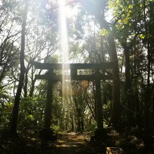 稲荷神社の鳥居