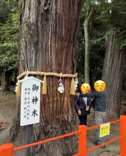 息栖神社(茨城県)
