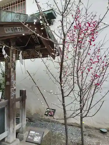 櫻木神社(東京都)