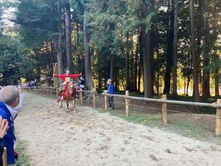 出雲伊波比神社(埼玉県)