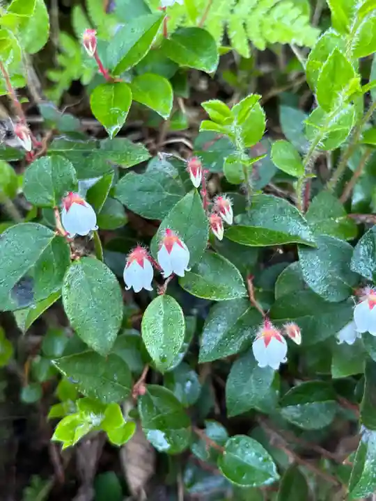 白山比咩神社 奥宮(石川県)
