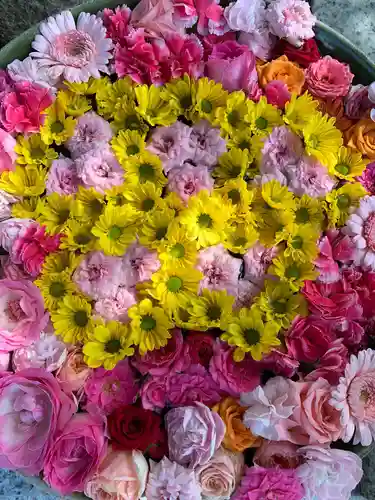 彌都加伎神社の手水舎