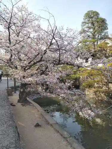 阿智神社の周辺