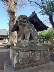 赤塚諏訪神社の狛犬