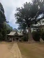 松山神社(千葉県)