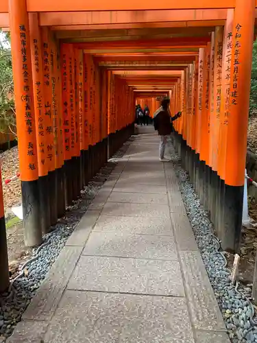 伏見稲荷大社(京都府)