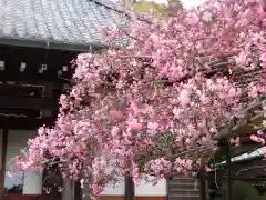 光則寺(神奈川県)