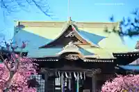 桜神宮(東京都)
