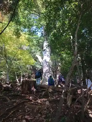 大山阿夫利神社のその他建物