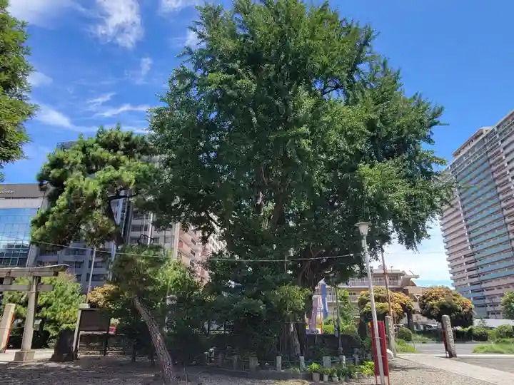 磐井神社の自然