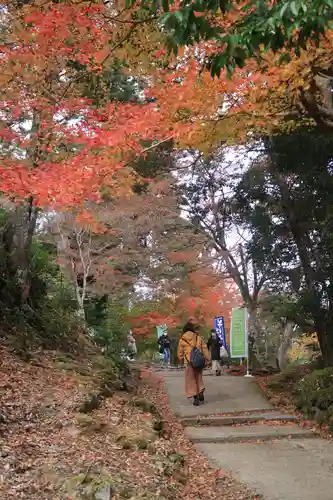 神護寺の景色