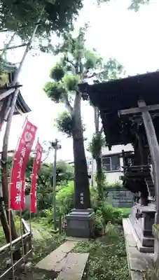 諏訪神社の本殿・本堂