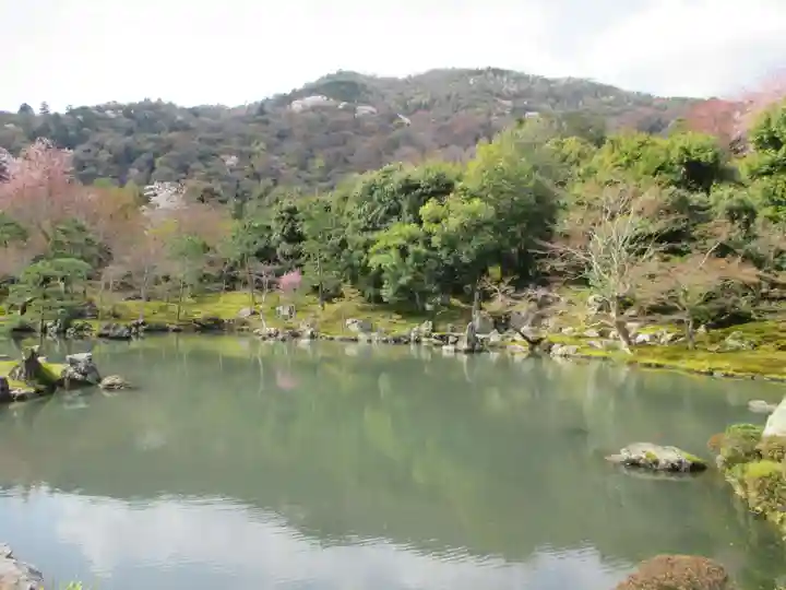 天龍寺の庭園