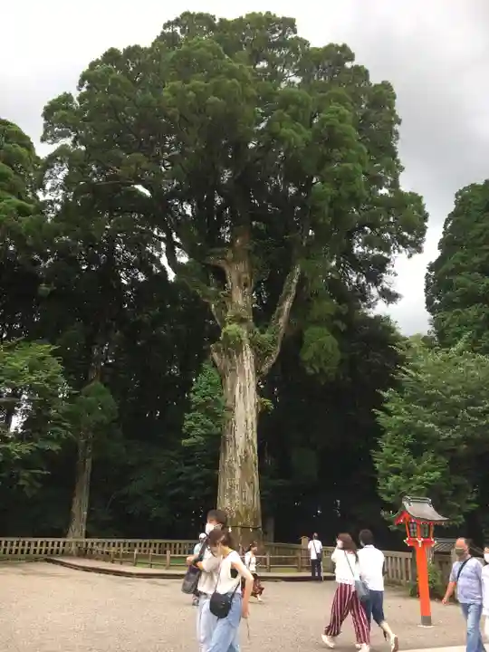 霧島神宮の自然
