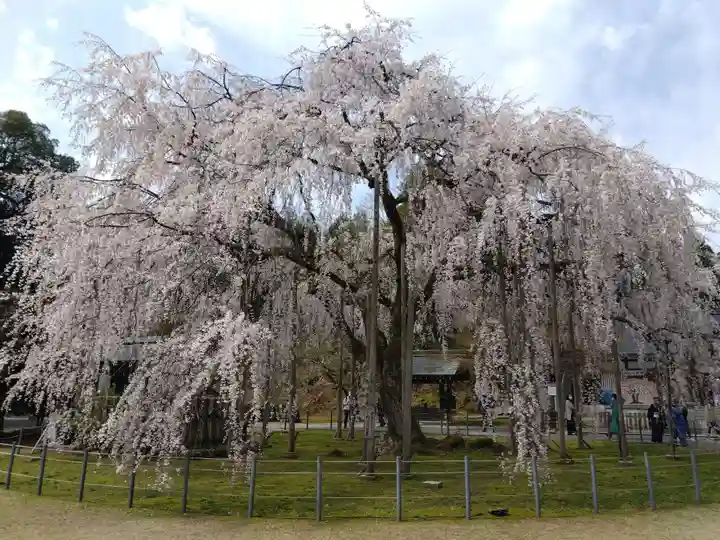 足羽神社(福井県)