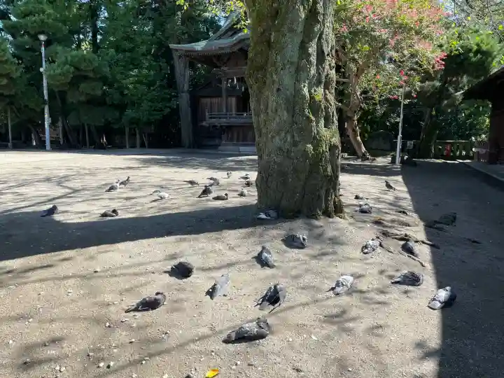 宇都宮二荒山神社(栃木県)